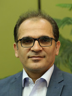 Amir Massoud Arab
