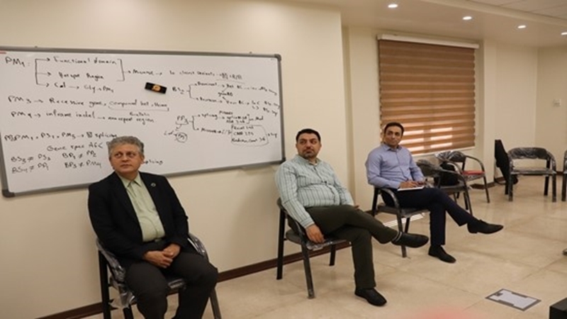 Activities of Scientific-Promotional Chairs Launched at the University